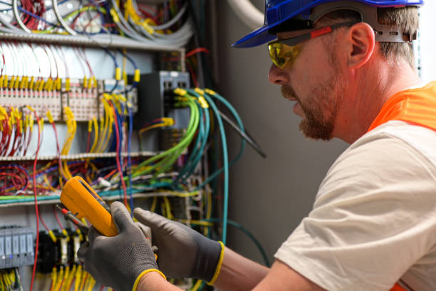 Best Electric Panel Repair  in Coal Valley, IL